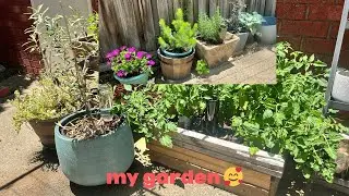 my garden [ASMR]⋆｡˚🌿•✧˖°🧚🏻｡𖦹⋆🍃✧°.