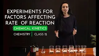 Chemical Kinetics | Factors Affecting Rate Of Reaction | Class 12  | JEE MAINS | NEET