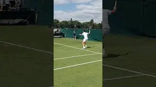 Coleman Wong's Forehand Doing the Damage at Wimbledon Qualifying #atp #tennis #forehand