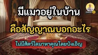 มีแมวอยู่ในบ้าน คือสัญญาณบอกอะไร? เปิดกรรม 3 ข้อ ที่ซ่อนอยู่