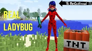 The REAL LADYBUG in Minecraft - To Be Continued!