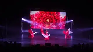 Guyun Qiapao Performance Team's artistic performance for school celebrations 2025