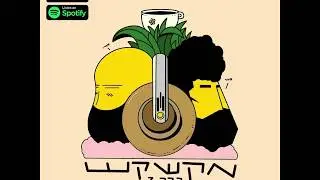 Ori Toor Mekashkesh