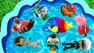 Learn Characters with paw patrol,Octonauts,Pj Masks  Pool Toys for Kids and Children