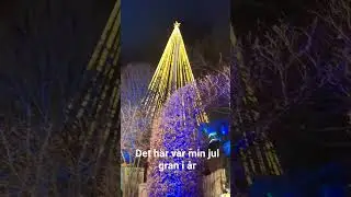 10 januari 2026