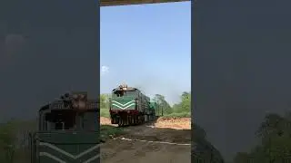 GEU-20 leading 6DN Greenline Express❤️