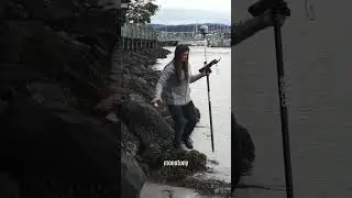 Is it too late to become a surveyor?