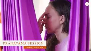 Aerial Yoga Teacher Training Course at Vinyasa Yoga Ashram.