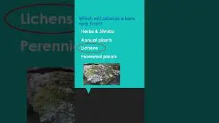 NEET MCQs| Biology MCQs|     #knowledgebinge#biologymcqs#neetmcqs#shorts#ytshorts