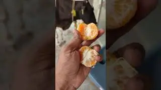 I Give Orange To The Street Cow | How To React Street Cow?
