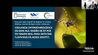 Examen de grado - Mirko Caroca