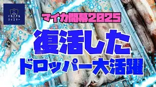 【2025・イカメタル】マイカ開幕戦は廃盤となっていたドロッパーが大活躍！！