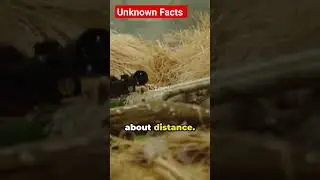 The Longest Sniper Rifle In The World #62inch #longest #rifle #sniper #facts #unknownfacts #viral