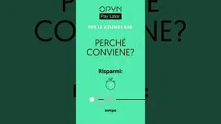 Scopri tutti i vantaggi di Opyn Pay Later per il B2B
