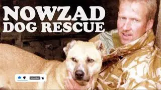 Former Royal Marine Pen Farthing set up the Nowzad animal shelter after serving in Afghanistan.