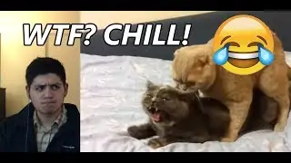 Try Not To Laugh or Grin Challenge (Impossible Challenge)