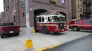 Full House Run for The Pride of Hunts Point to Box 2545