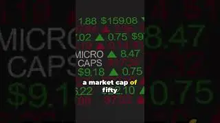 What is a Microcap Stock? Should I Invest? #microcap #stockmarket #shorts