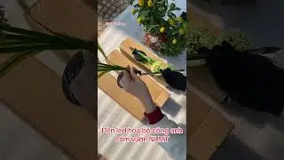 Đ&egrave;n led trang tr&iacute; s&acirc;n vườn hoa bồ c&ocirc;ng anh d&ugrave;ng pin NLMT
