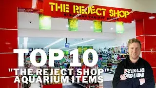 Top 10 Reject Shop Aquarium Items - Everyday Items You Can Use in Your Fishroom