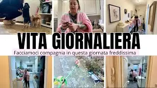 Vlog quotidiano/ le provo tutte per farla bere/ novità per i nani 🐶/ pulizie giornaliere