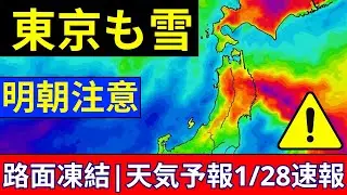 【モデル比較】気象庁vsECMWF予測が真逆|どちらが正確？最新天気予報解説
