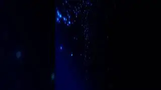Avatar Logo Animation