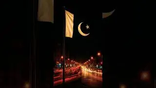 Papa Mera Papa | #pakistanflag #pakistansong #news #song @MrBeast @mohammadsajidofficial