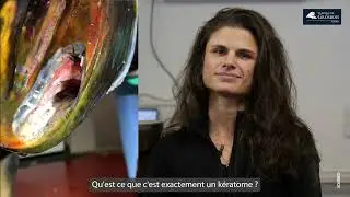 Grosbois Dr Farfan Kératome 4K