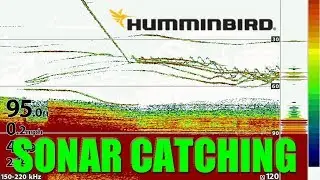 Tips 'N Tricks 229: Vertical Sonar Fishing with Humminbird HELIX