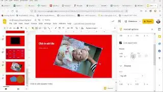 3.2.3: rotate, resize and recolour a photo (Google Slides version)