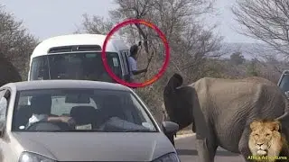 Tourist Taking A SELFIE With Wild Elephant In Kruger National Park