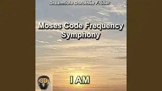 I Am Frequency Contemplation