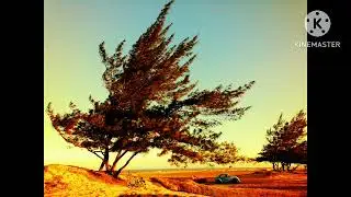 [Free For Profit]Chill lofi Hip Hop beat (BH creations22)2022.#angels#angelicmusic#newbeat