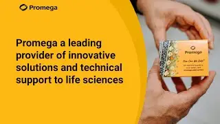 Promega a leading provider of innovative solutions and technical support to life sciences