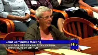 JLWOP Hearings, pt 14: Margaret Raben, Former CDAM President
