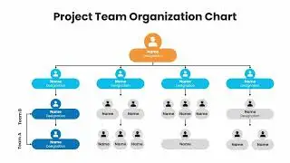 Project Team Organization Chart PowerPoint Presentation