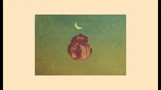 city girl | Crescent Nocturne