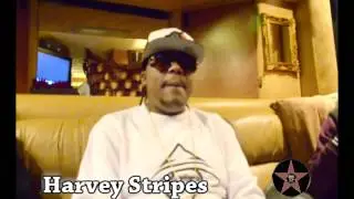 Exclusive Interview with Harvey Stripes of DNDMG