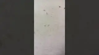 கொண்டலாம்பட்டி பைபாஸ் 8000 சதுர அடி பிளாட் வடக்கு புறம் ரோடு