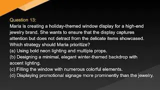 Professional Visual Merchandising Analyst Exam Free Practice Questions