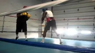 Jerome larue light spar