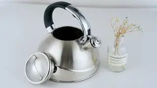 Zinc alloy and black nylon handle water kettle FH-045