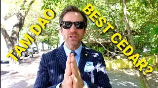 BEST CEDAR FRAGRANCE? TAM DAO | DIPTYQUE | MY FULL REVIEW OF THIS 2013 CLASSIC EDP VERSION