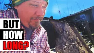 How Long Do Garden Beds Last? - Garden Quickie Episode 133