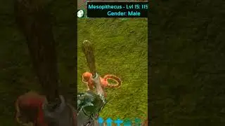 Приручить мезопитек в Ark Mobile | #игры
