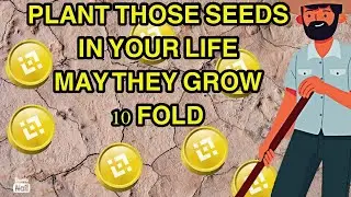 BNB Crop farmers update