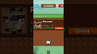 SECRET Raccoon Shop from Owner Of Grow a Garden!