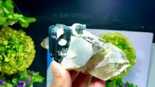 Blue Cap Tourmaline on Smoky Quartz