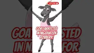 Goat Arrested In Nigeria #truestory #didyouknow